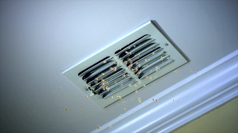 Best Best Air Duct Cleaning Company  in Rock Island, IL